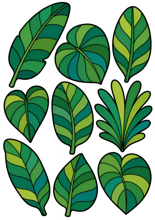 Feuilles de jungle à découper du thème Jungle des oiseaux colorés, formes à découper et coller.